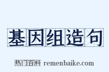 基因组造句是什么意思的图片